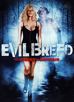 邪魔:山姆海因传奇