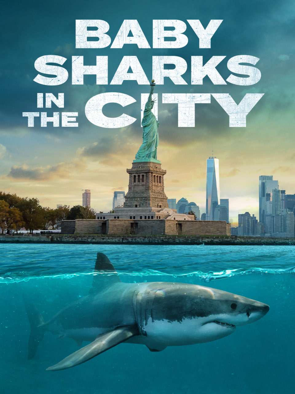城市里的鲨鱼宝宝