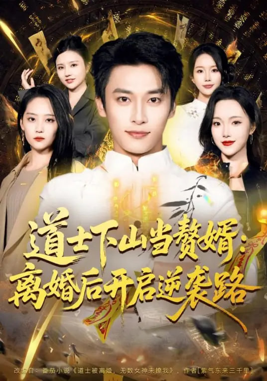 道士下山当赘婿