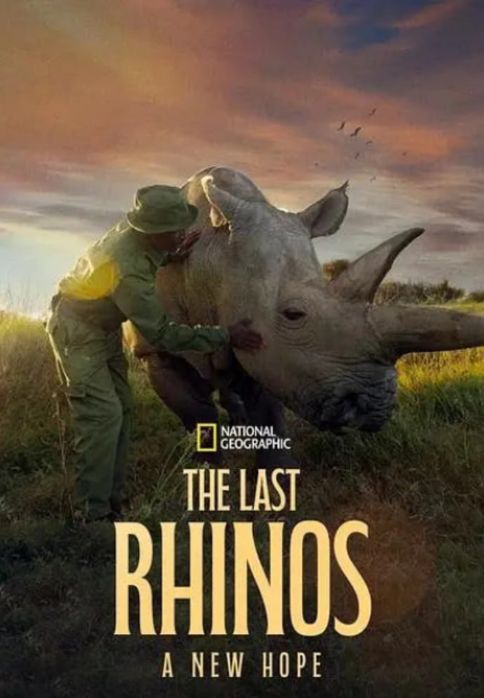最后的犀牛:新希望