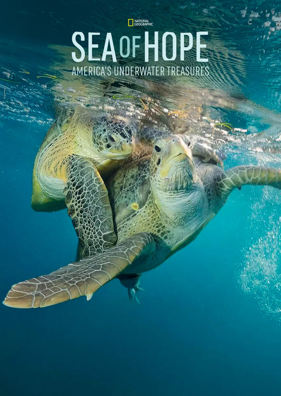 希望之海:美国海底之宝