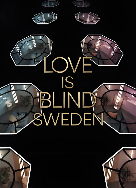 爱情盲选:瑞典篇 第二季