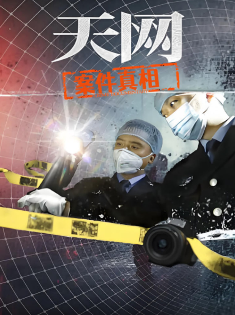 天网:案件真相
