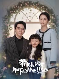  带娃离婚，年下总裁要娶我