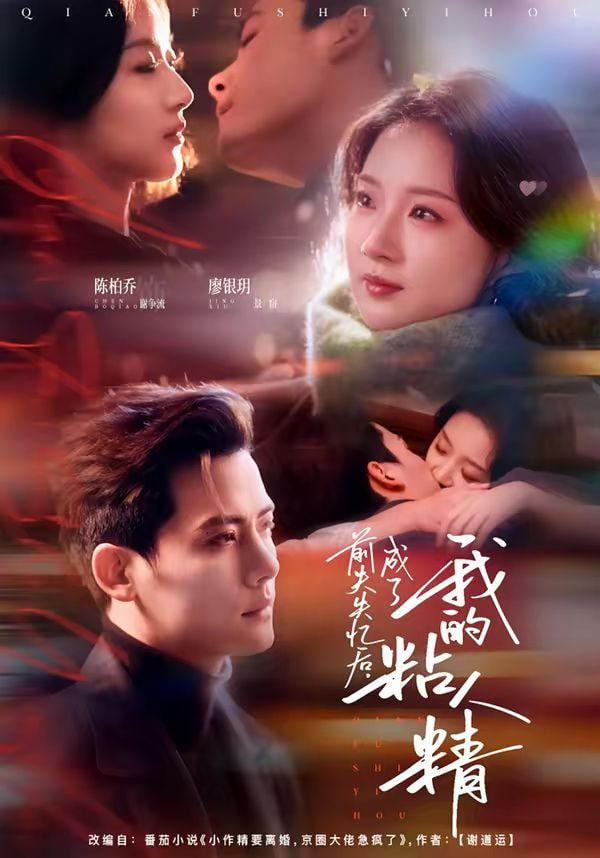 前夫失忆后，成了我的粘人精